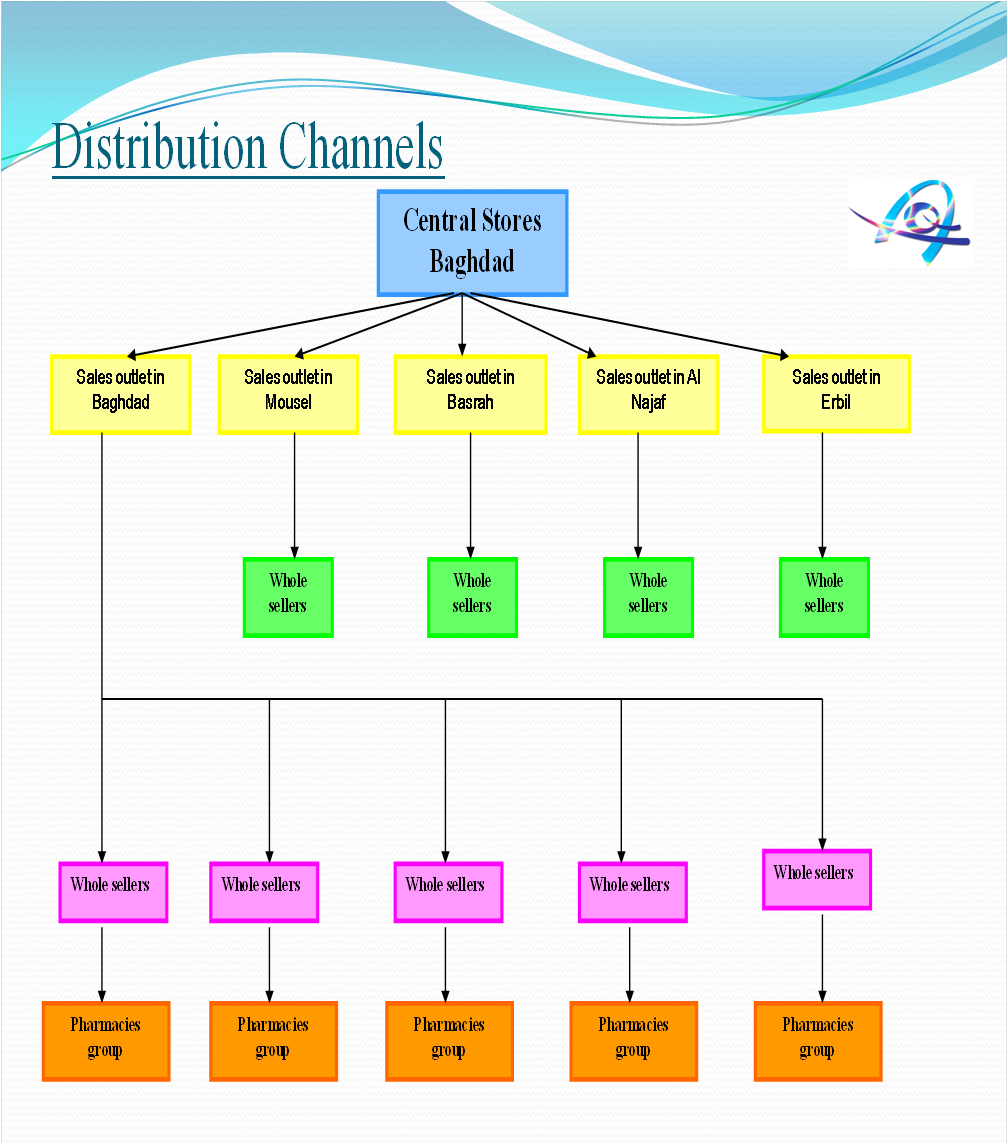Organization Chart